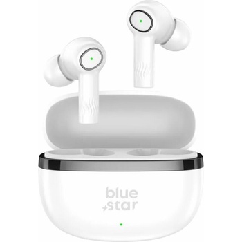Blue Star Tws Model Ac20C With Enc Function