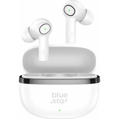 Blue Star Tws Model Ac20C With Enc Function