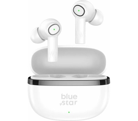 Blue Star Tws Model Ac20C With Enc Function