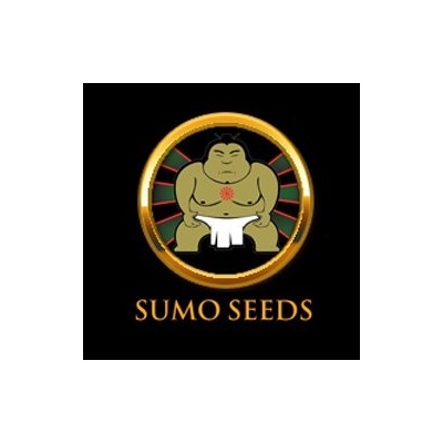 Sumo Seeds CBD Kong's Kush semena neobsahují THC 3 ks