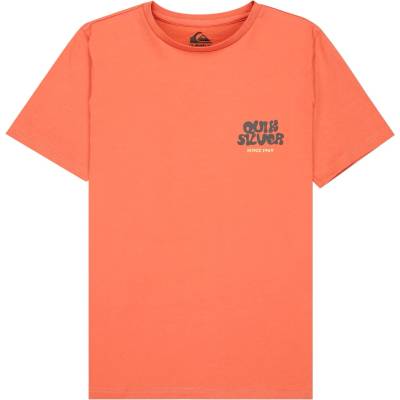 Quiksilver Детска тениска Quiksilver Kid's Fruits Tide S/S T-shirt - Desert Sand - размер 16 (US) (704-6115-0215)