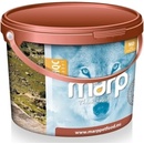 Marp Holistic Salmon ALS Grain Free 4 kg