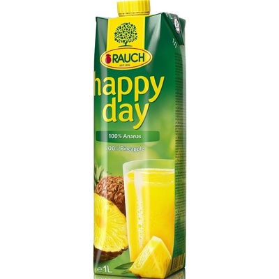 Rauch Happy Day Ananás 100% 1 l
