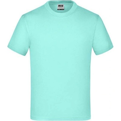 James & Nicholson JN019 Mint