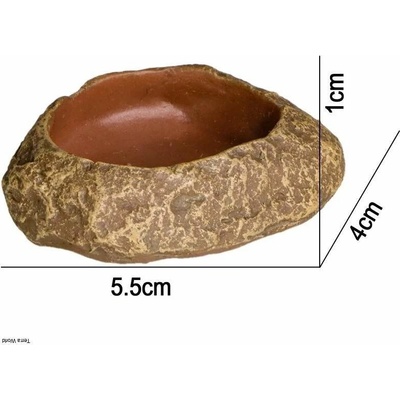 Terrario Rock Oasis XS 5,5 x 4 x 1 cm