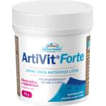 VITAR Витар Ветеринае АртиВит Форте 70 г