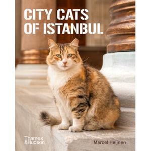 City Cats of Istanbul | HEIJNEN MARCEL (ISBN: 9780500298411)