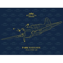 Eduard Curtiss P- Warhawk Royal Class Dual Combo 1:48