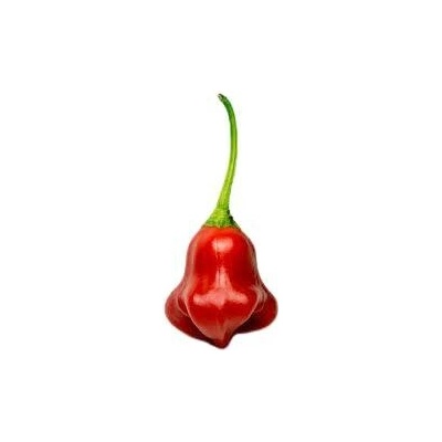 Need For Seed Chilli Bishop's Crown semena 10 ks