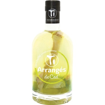 Ti Rhum Arrangés Lemon Ginger GWAMARÉ 32% 0,7 l (holá láhev)