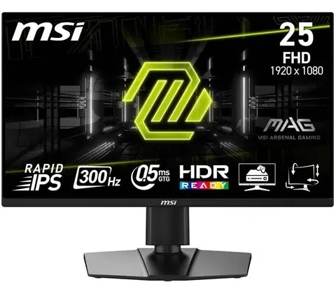 MSI MAG 255PXF
