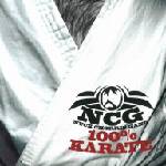 Supraphon Nuck Chorris Gang: 100% Karate - CD (014172)