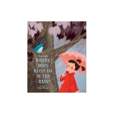 Where Does Kitty Go in the Rain? | Brigette Barrager
