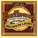 Ernie Ball 2003