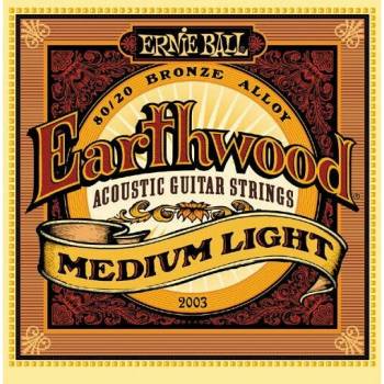 Ernie Ball 2003