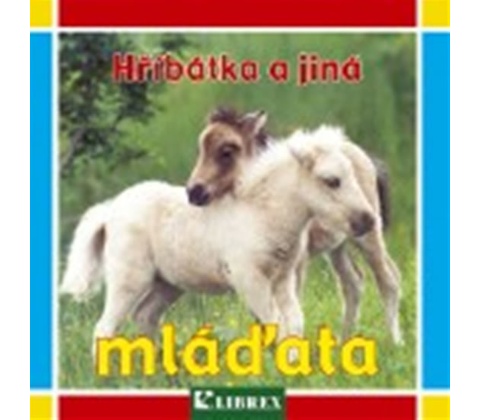 Hříbátka a jiná mláďata