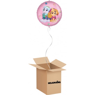 HeliumKing Balónový box Paw Patrol Skye a Everest kruh 46 cm
