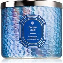 Bath & Body Works Frozen Lake 411 g