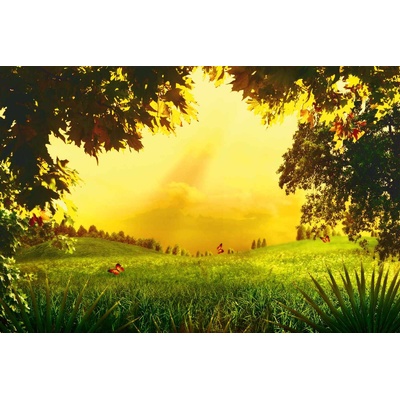 DIMEX ART Флизелинов фототапет вълшебна поляна 375 x 250 см