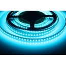 T-LED 082401