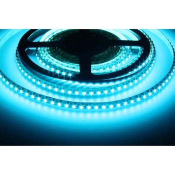T-LED 082401