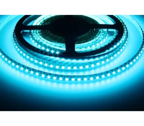 T-LED 082401