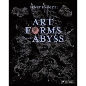 Art Forms from the Abyss | Peter Williams, Dylan Evans, David Roberts, David Thomas (ISBN: 9783791381411)