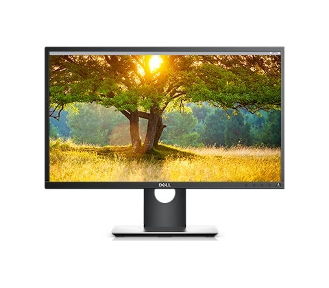 Dell P2417H