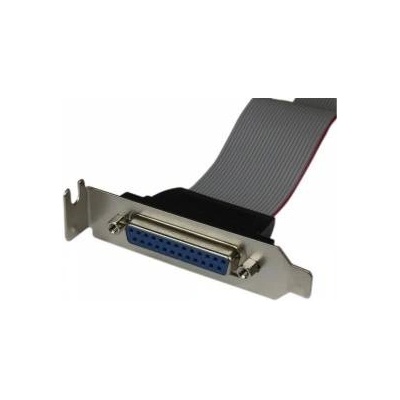 StarTech Aдаптер Startech PLATE25F16LP