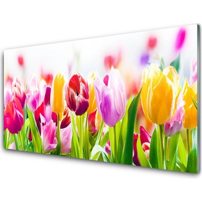 Obraz na skle Tulipány Květiny 100x50 cm