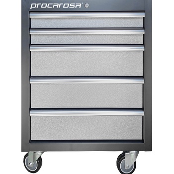 Procarosa Profi TGC-1305W