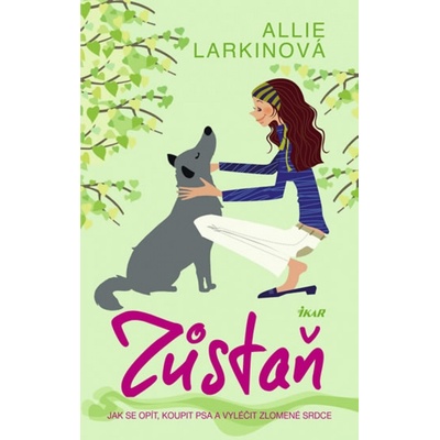 Zůstaň - Allie Larkinová