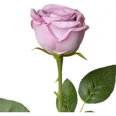 Dekorácia umelá kvetina fialová ruža Rose Purple - 9*9*61 cm - Clayre & Eef