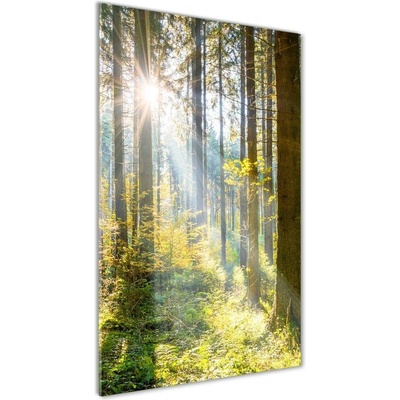 Vertikálny foto obraz fotografie na skle Slnko v lese 50x100 cm