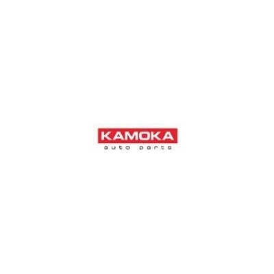 Katalyzátor KAMOKA 8015189