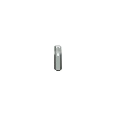 PROJAHN Bit T25x30mm 5/16" 305025