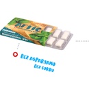 Artic Žuvačky Premium Peppermint 10 ks