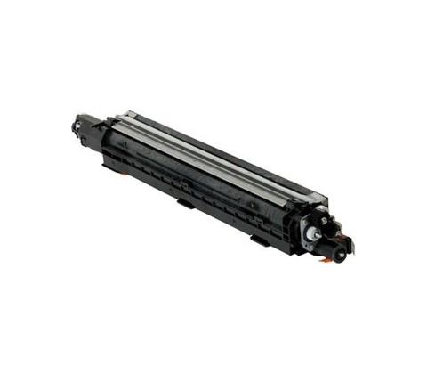 Ricoh D1863052 - originálny