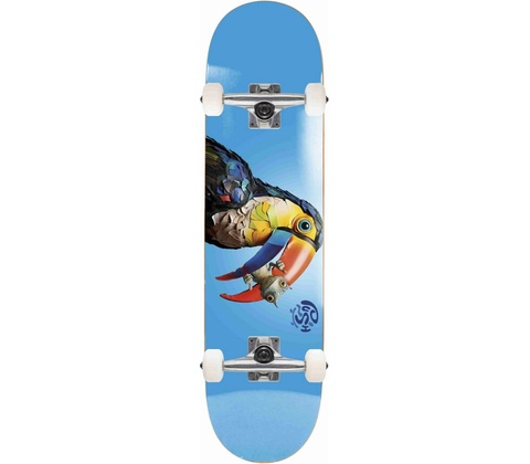 Push Toucan