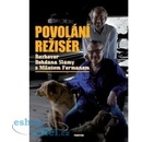 Povolání režisér