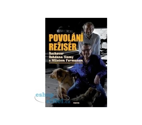 Povolání režisér