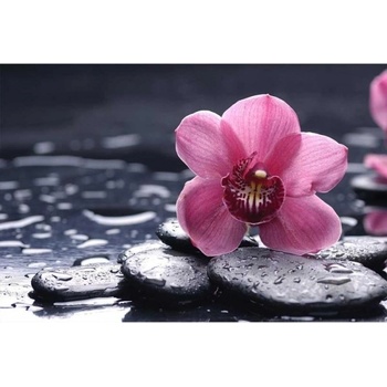 DIMEX ART s. r. o Флизелинов фототапет орхидея 375 x 250 см