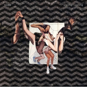 Supraphon Taupe: waxing | waning - CD (091307)