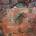 Set and Setting - Tabula Rasa LP