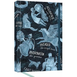 What We See in the Stars Journal (ISBN: 9781984823175)