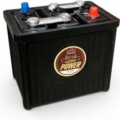 Classic 6V 120Ah 570A 12018