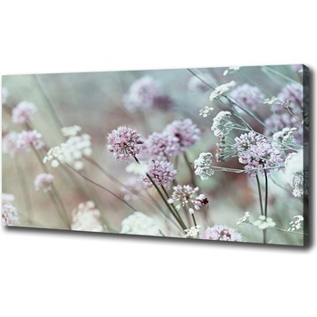 Foto obraz tlačený na plátne Divoké kvety 100x50 cm