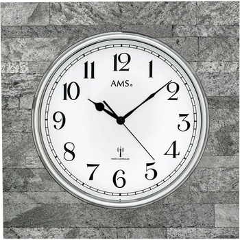 AMS 5568