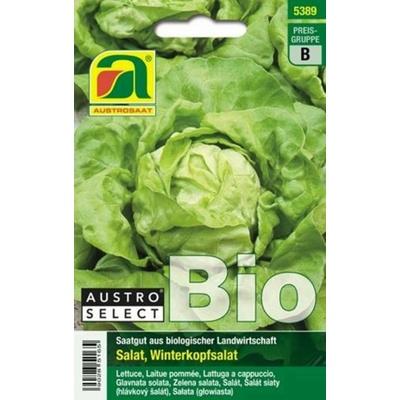 AUSTROSAAT Bio šalát hlávkový "Neusiedler Gelber Winter" - 1 bal.