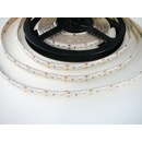 T-LED 07312